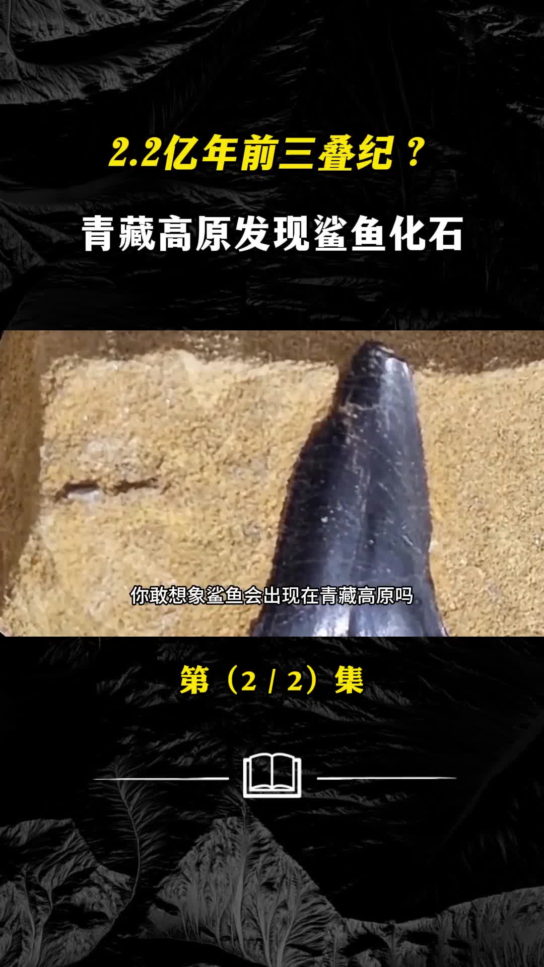 三叠纪的秘密22亿年前的鲨鱼青藏高原发现鲨鱼化石