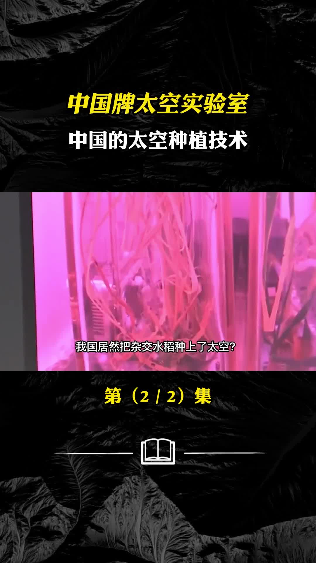 中国牌太空实验室神舟系列太空实验中国的太空种植技术