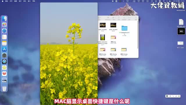 Mac电脑显示桌面快捷键是什么