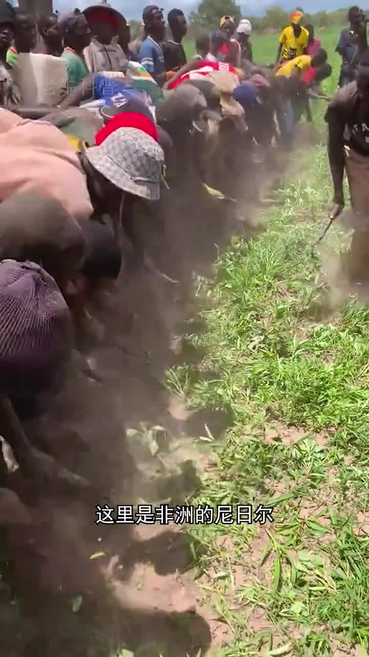 团队协作除草法