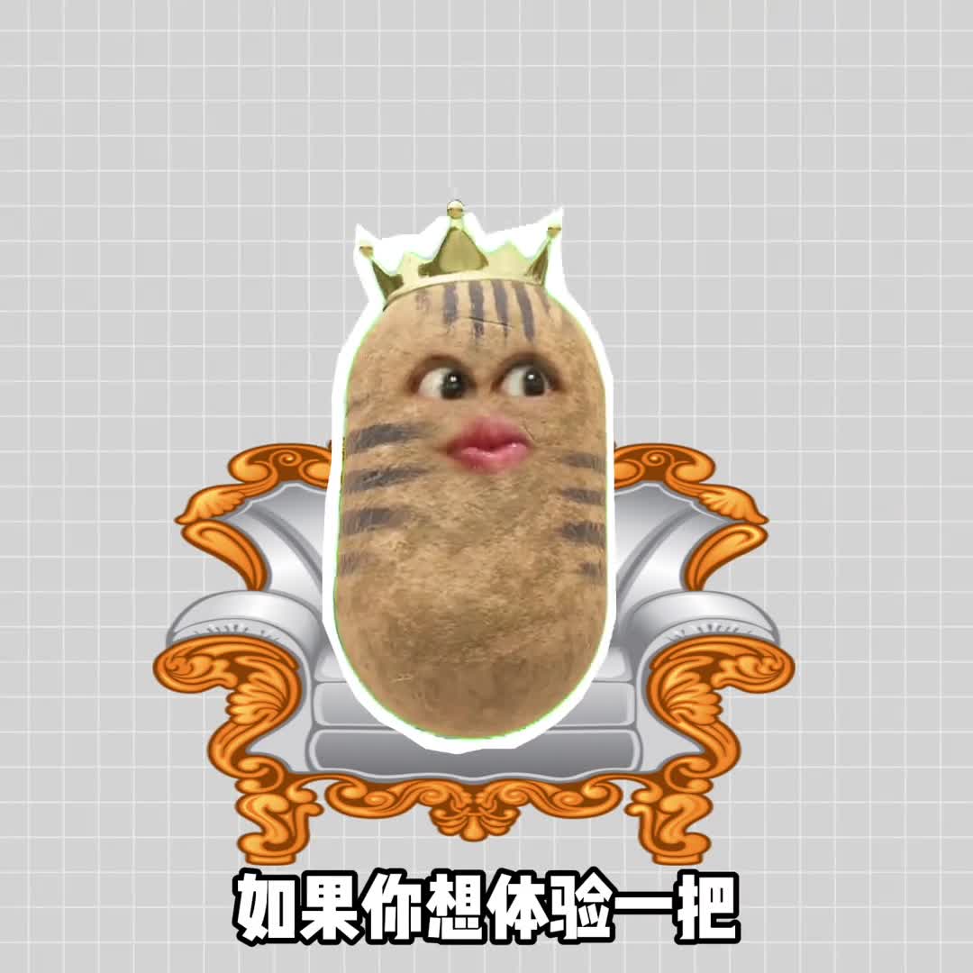 如果可以租下这个国家你最想做些啥