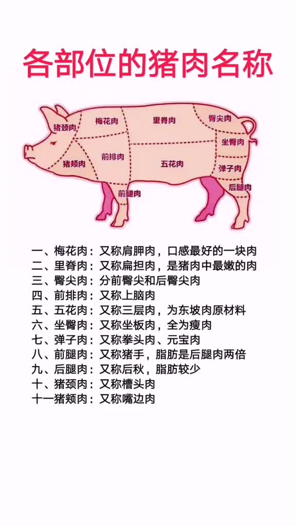 吃货们必备知识各部位的猪肉名称