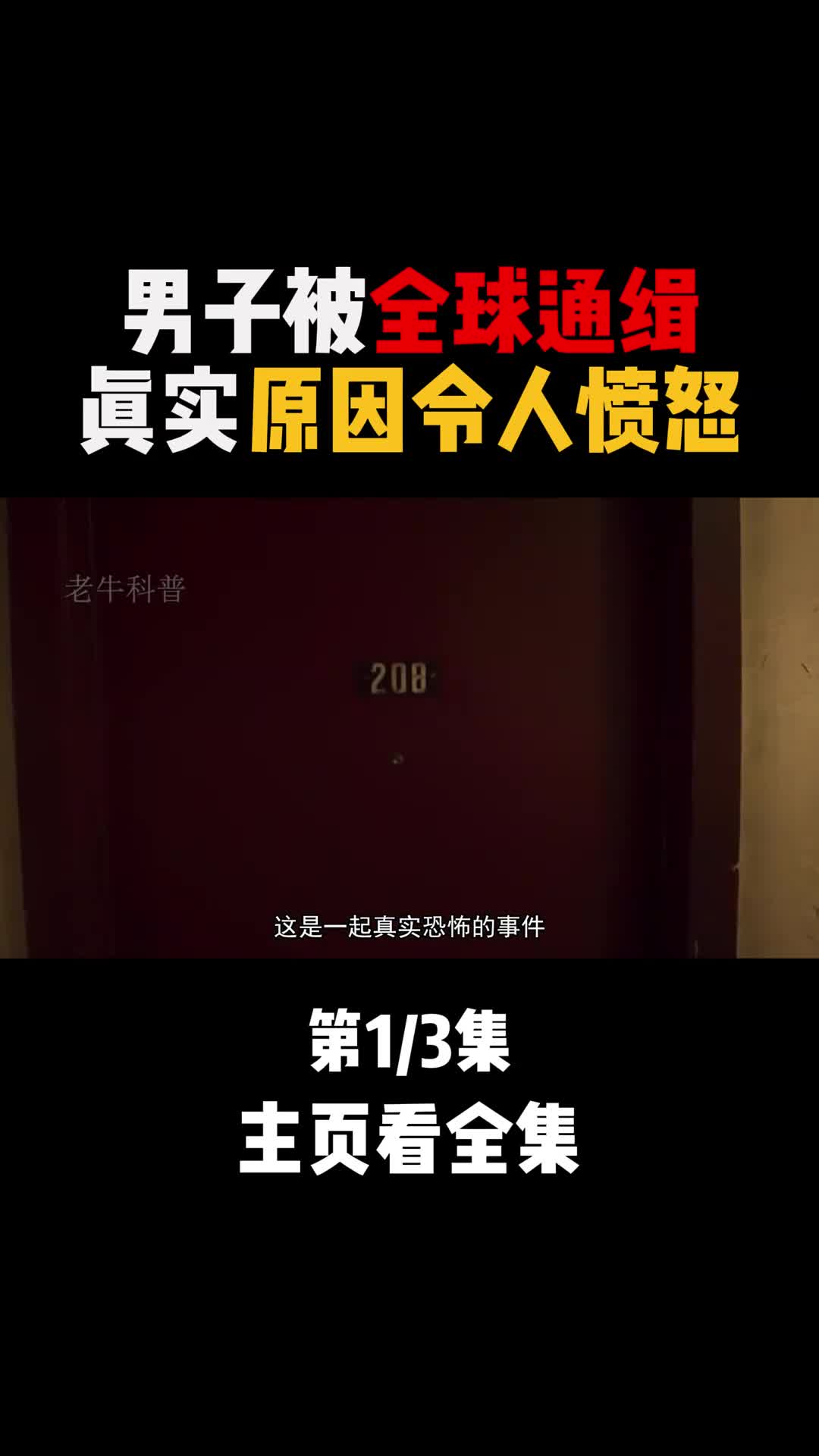 一个真实的恐怖故事从虐猫变态到杀人凶手全世界网友联合追捕