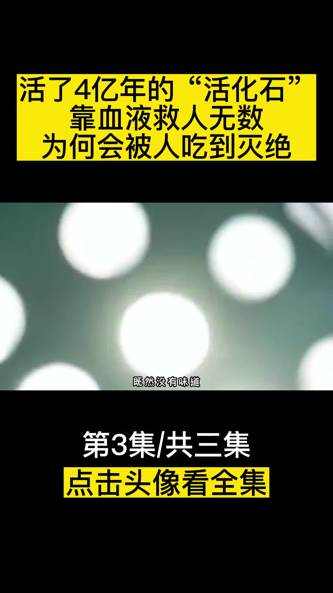 活了4亿年的活化石靠血液救人无数为何会被人吃到灭绝