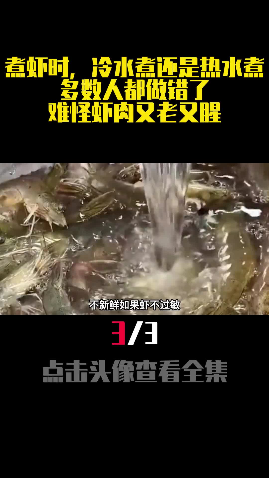 煮虾时冷水煮还是热水煮多数人都做错了难怪虾肉又老又腥3
