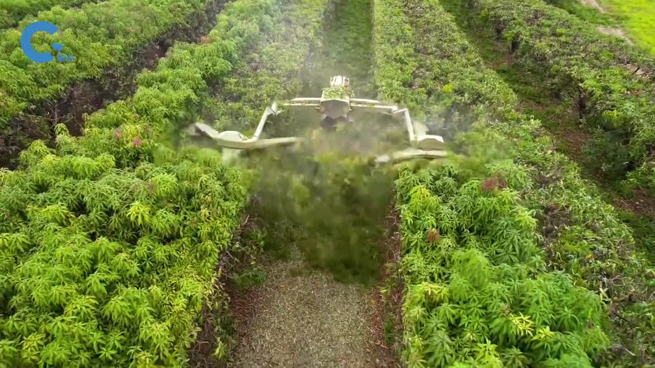 不可思议的风火轮剪树机贴着树顶部盘旋切割过去立马变的整齐