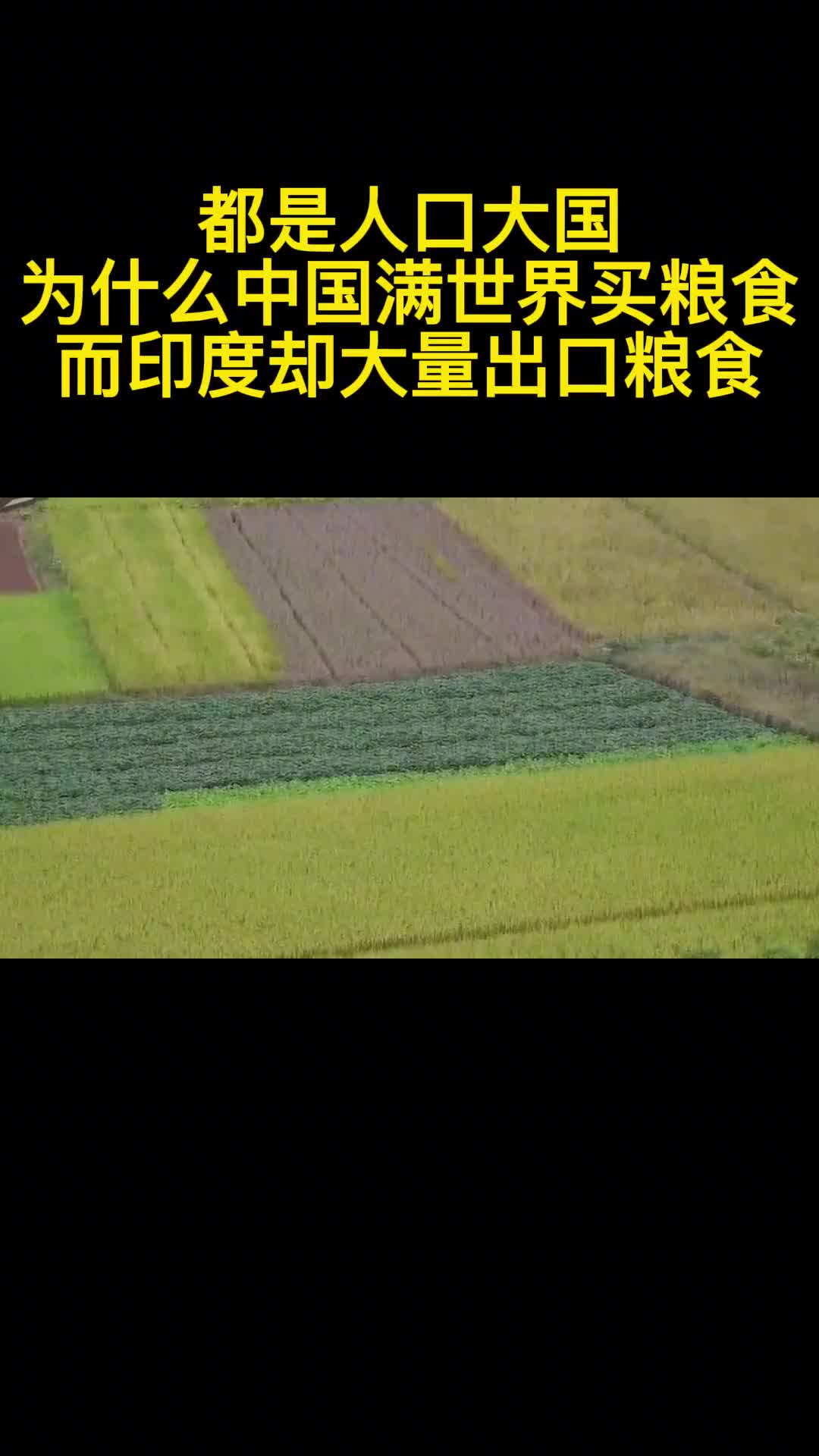 都是人口大国为什么中国满世界买粮食而它却大量出口粮食2