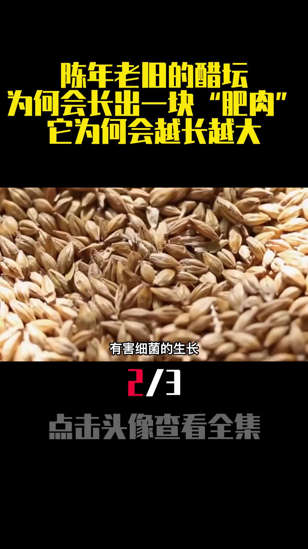 陈年老旧的醋坛为何会长出一块肥肉它为何会越长越大2