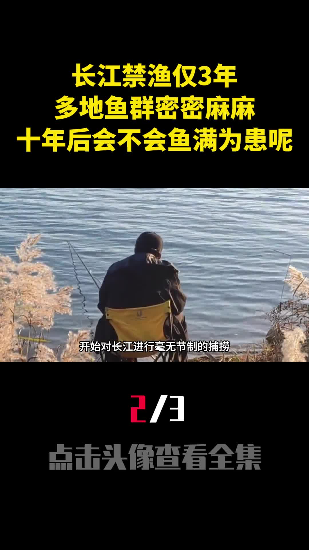长江禁渔仅3年多地鱼群密密麻麻十年后会不会鱼满为患呢2