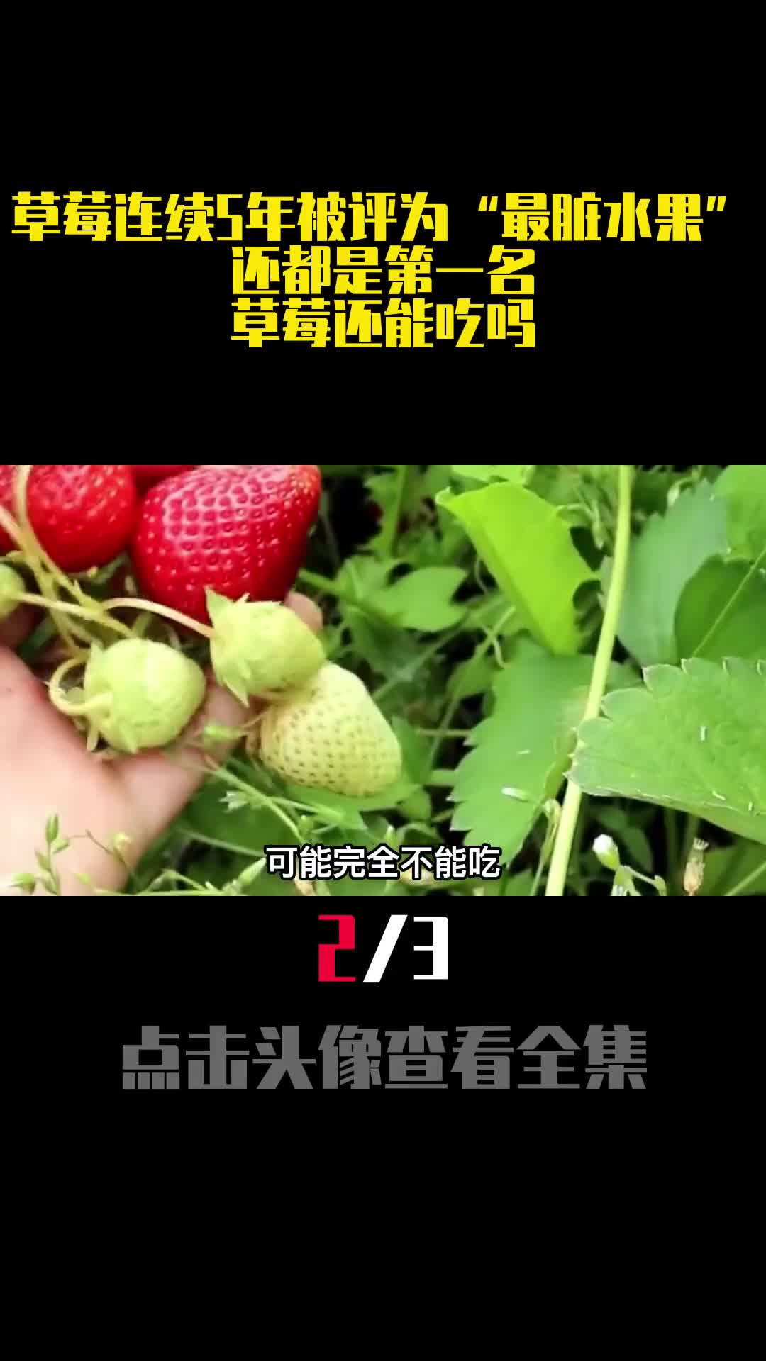 草莓连续5年被评为最脏水果还都是第一名草莓还能吃吗2
