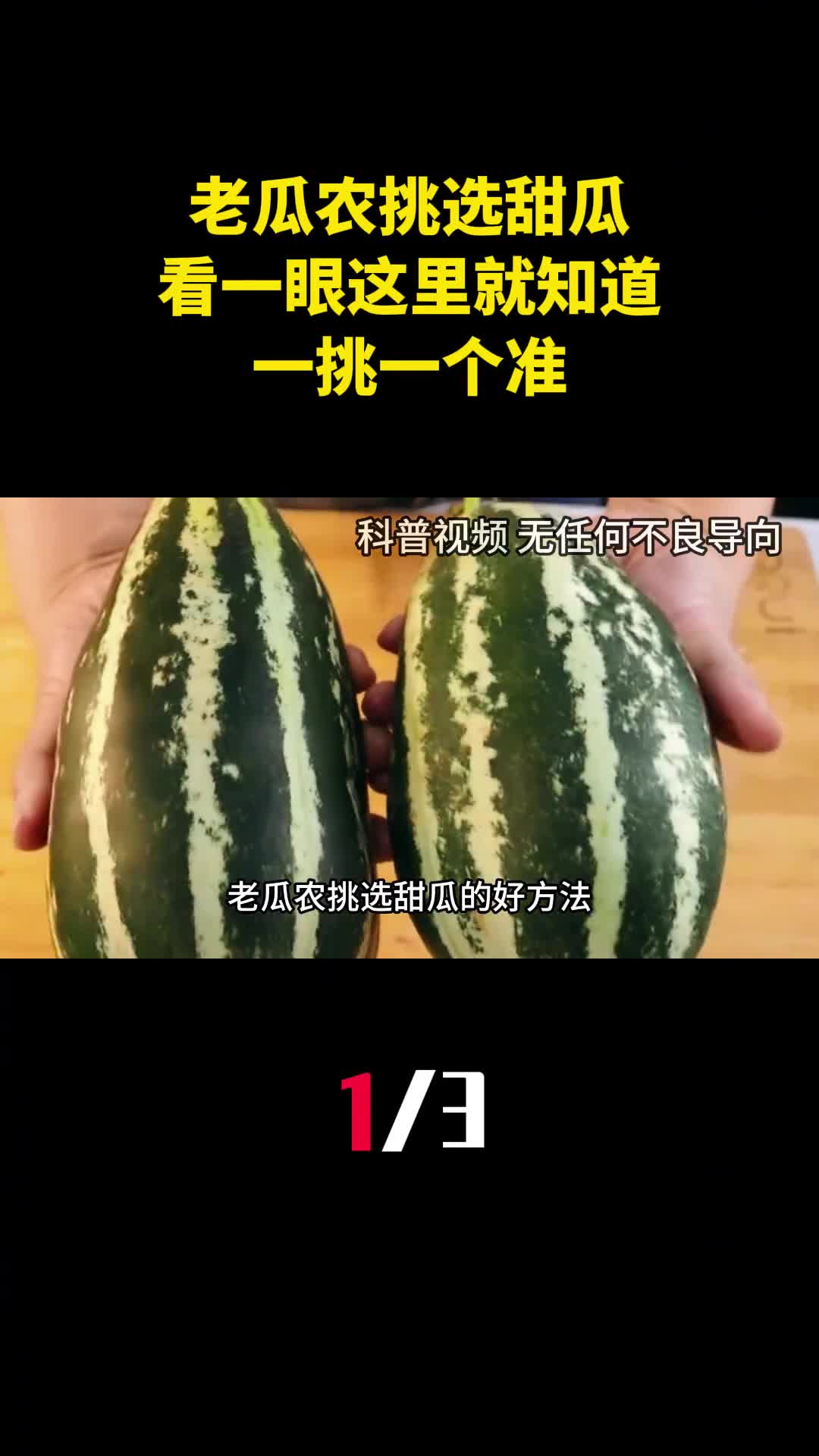 老瓜农挑选甜瓜的好方法甜不甜看一眼这里就知道一挑一个准1