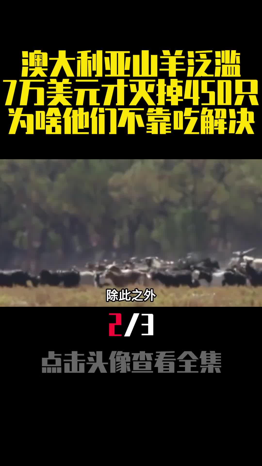 澳大利亚山羊泛滥7万美元才灭掉450只为啥他们不靠吃解决2