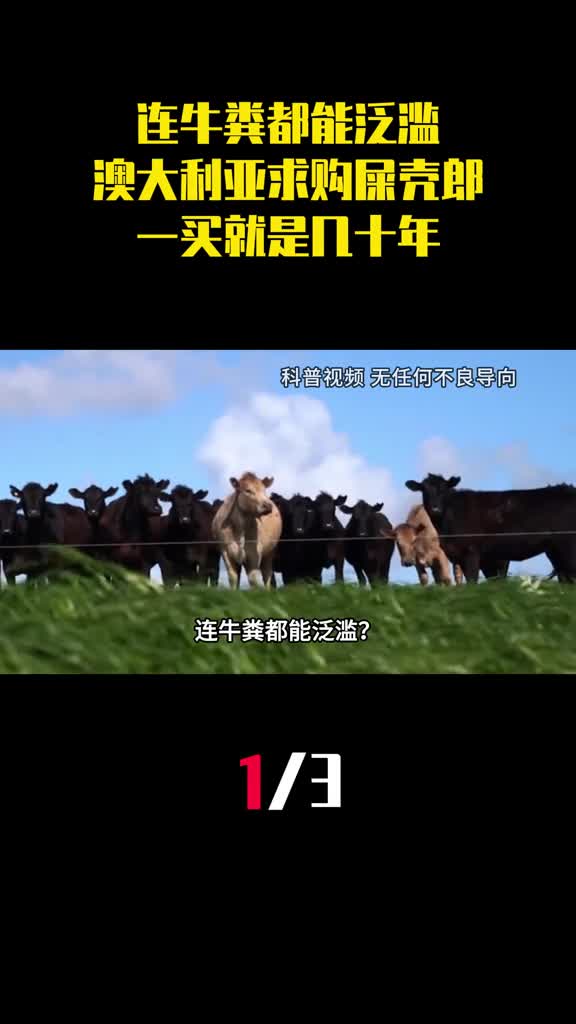 连牛粪都能泛滥澳大利亚全世界求购屎壳郎一买就是几十年1