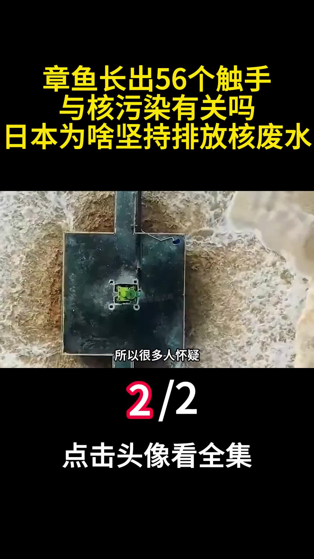 章鱼长出56个触手与核污染有关吗日本为啥坚持排放核废水2