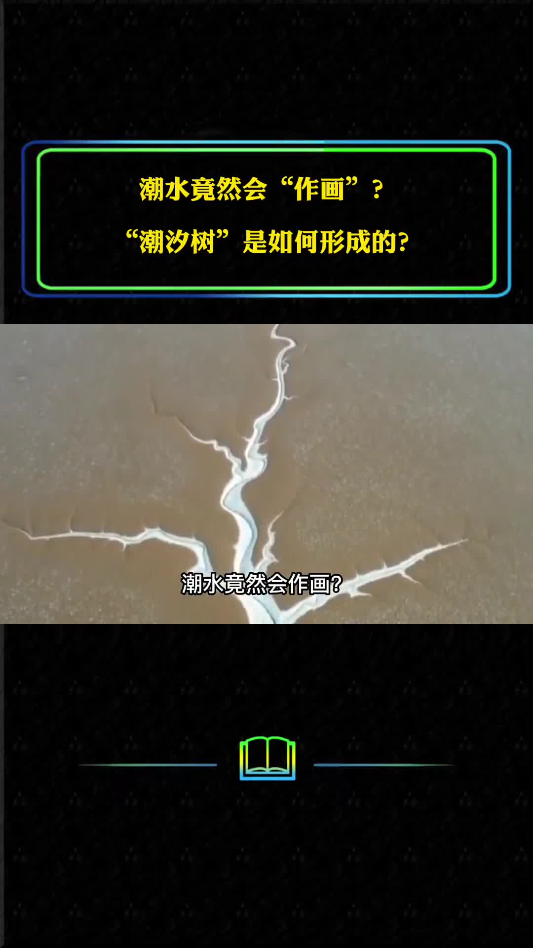 潮水竟然会作画潮汐树是如何形成的