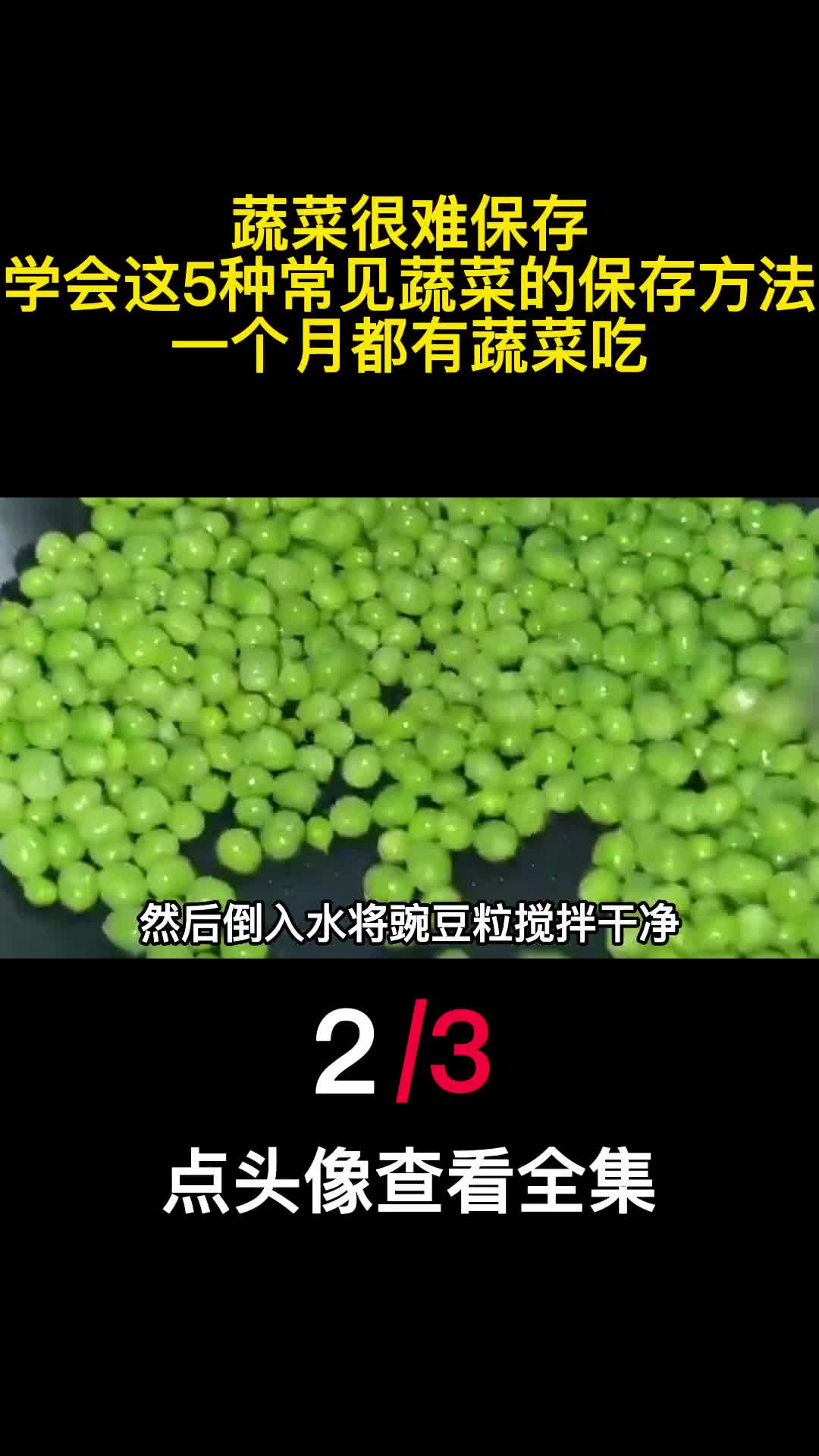 蔬菜很难保存学会这5种常见蔬菜的保存方法一个月都有蔬菜吃2