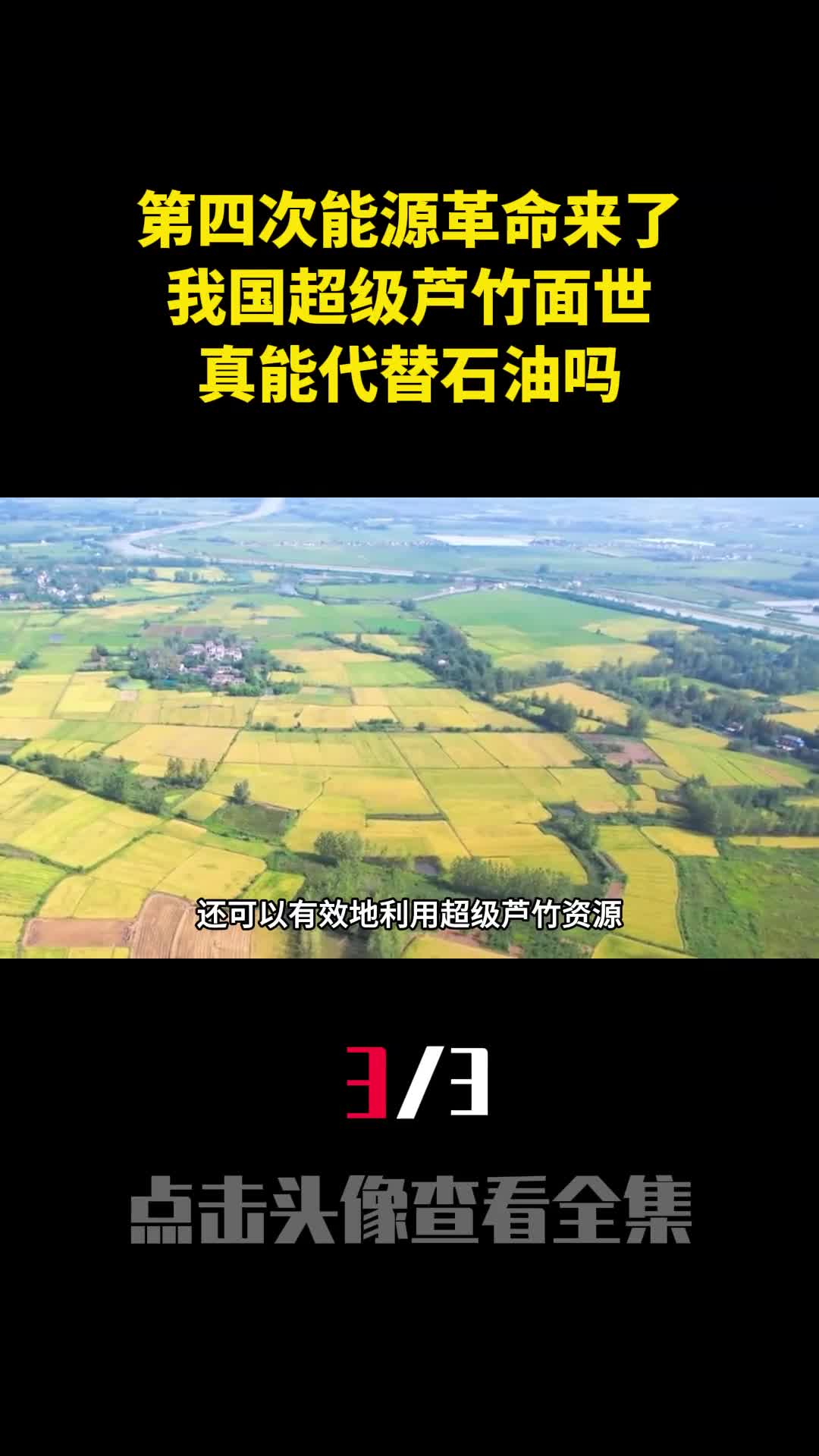 第四次能源革命来了我国超级芦竹面世真能代替石油吗3