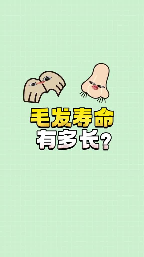 人类不同毛发的生命周期