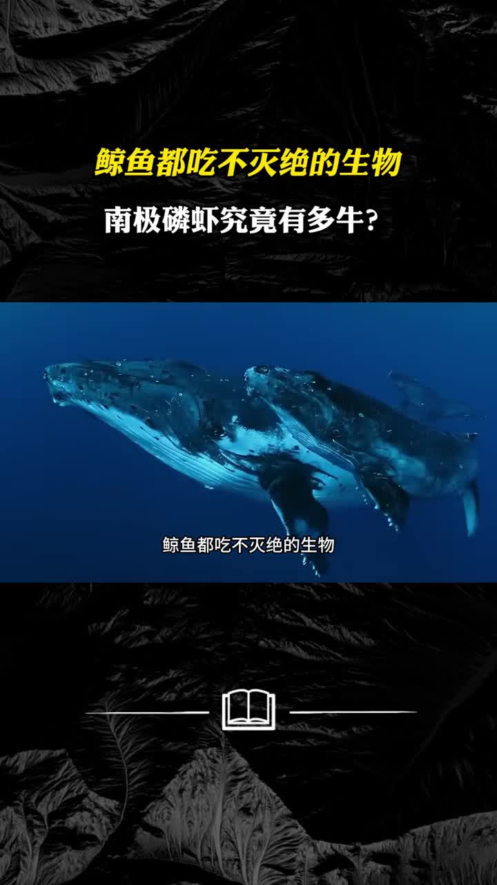 鲸鱼都吃不灭绝的生物南极磷虾究竟有多牛