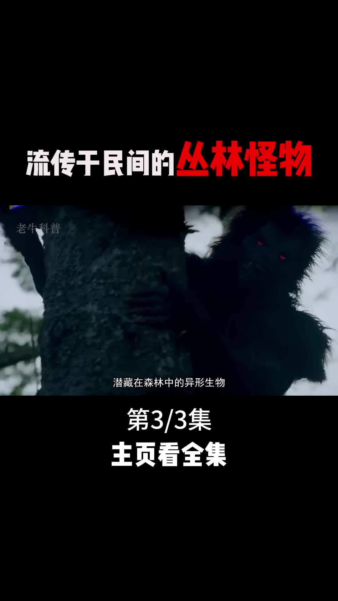 流传于民间的丛林怪物神出鬼没诡异离奇3
