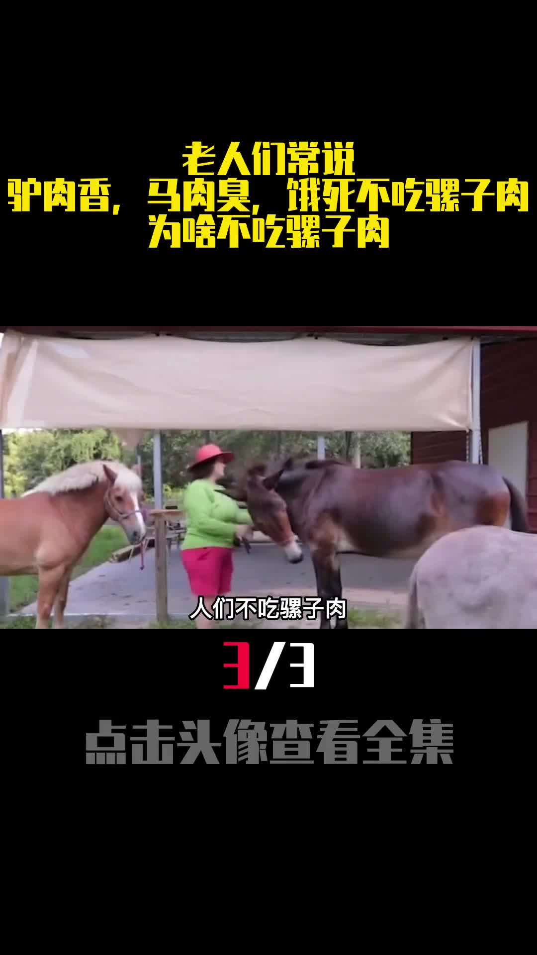 老人们常说驴肉香马肉臭饿死不吃骡子肉为啥不吃骡子肉3