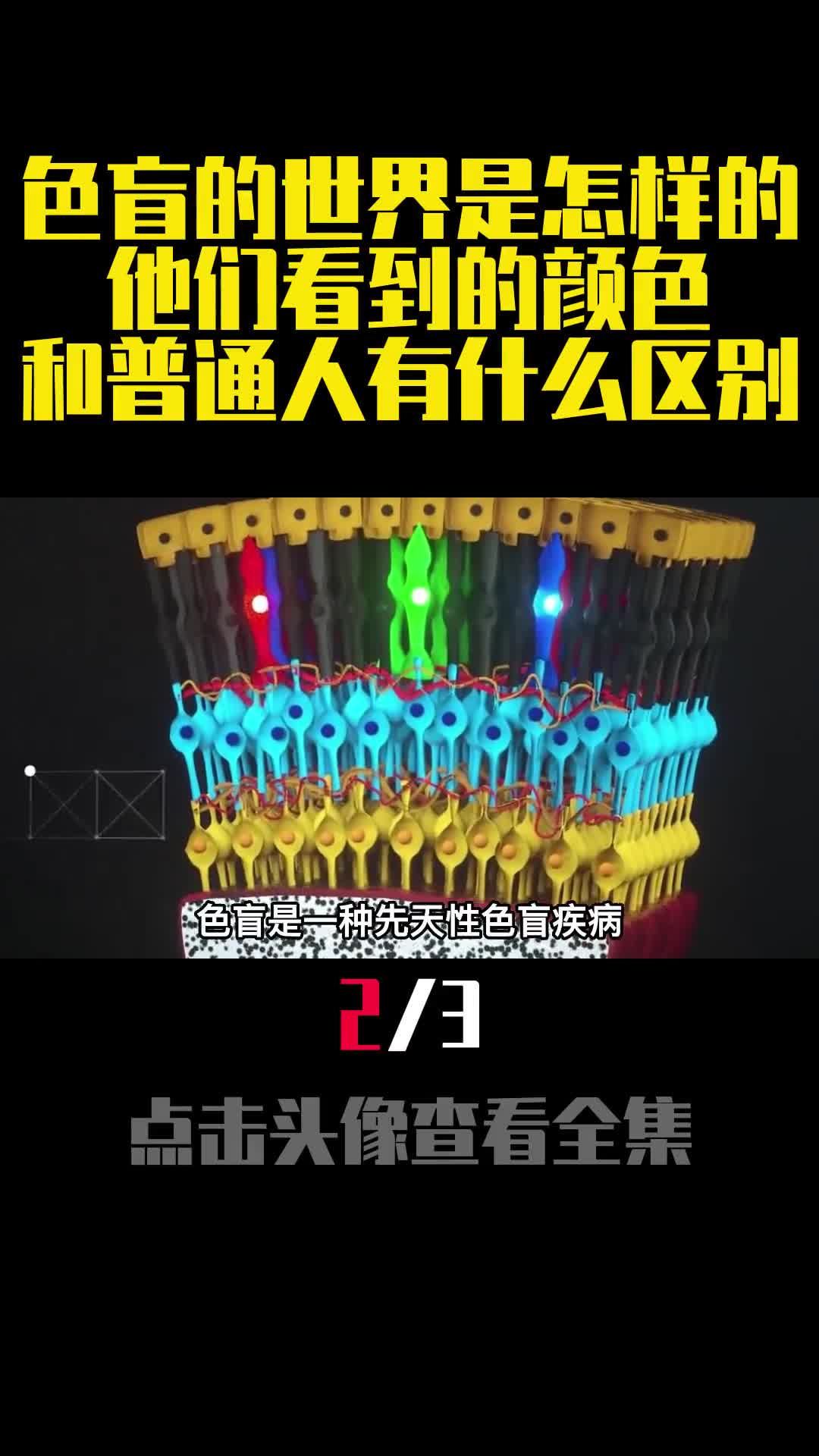 色盲的世界是怎样的他们看到的颜色和普通人有什么区别2