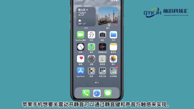 苹果怎么关震动开静音