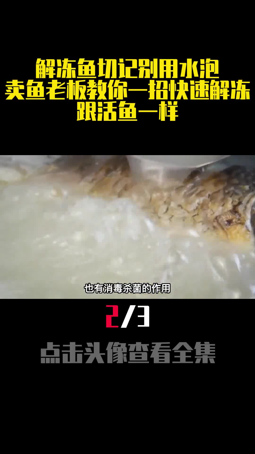 解冻鱼切记别用水泡卖鱼老板教你一招快速解冻跟活鱼一样2