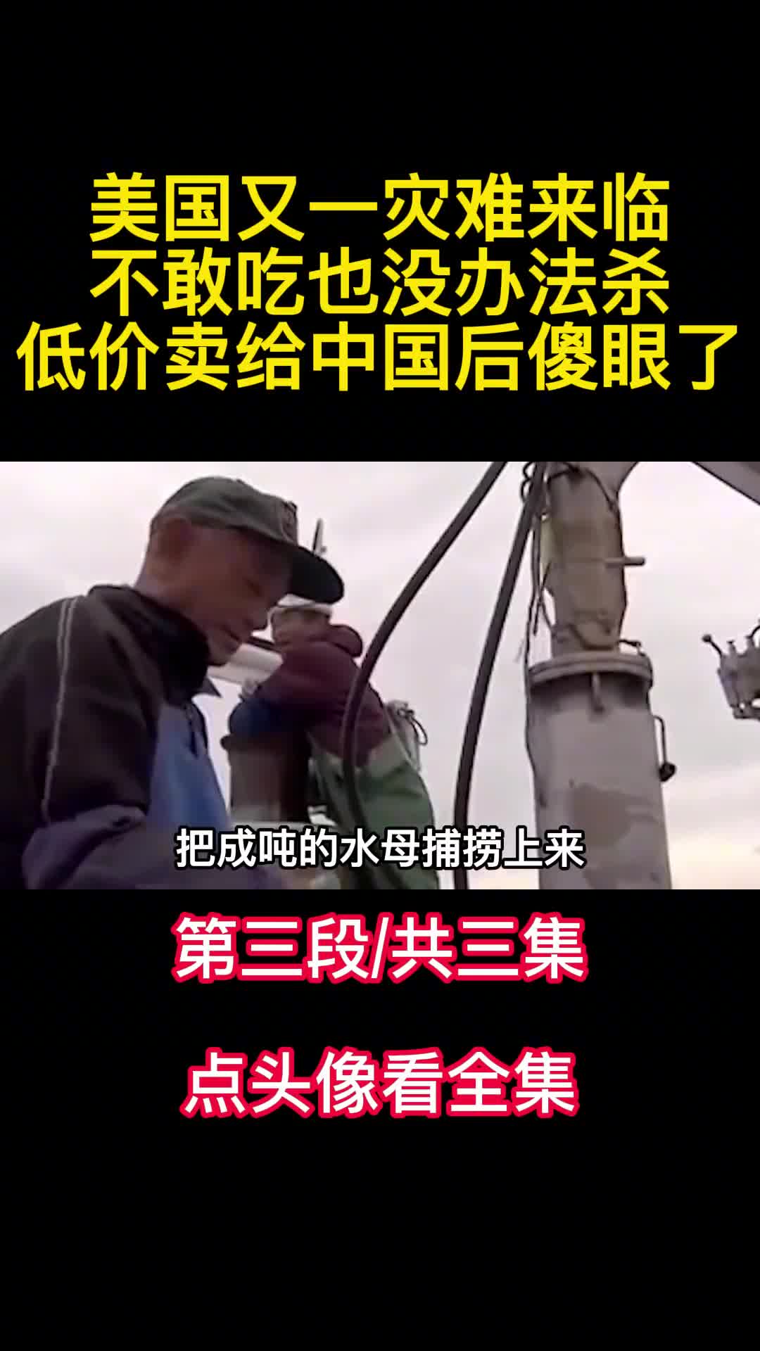 美国又一灾难来临不敢吃也没办法杀低价卖给中国后傻眼了3