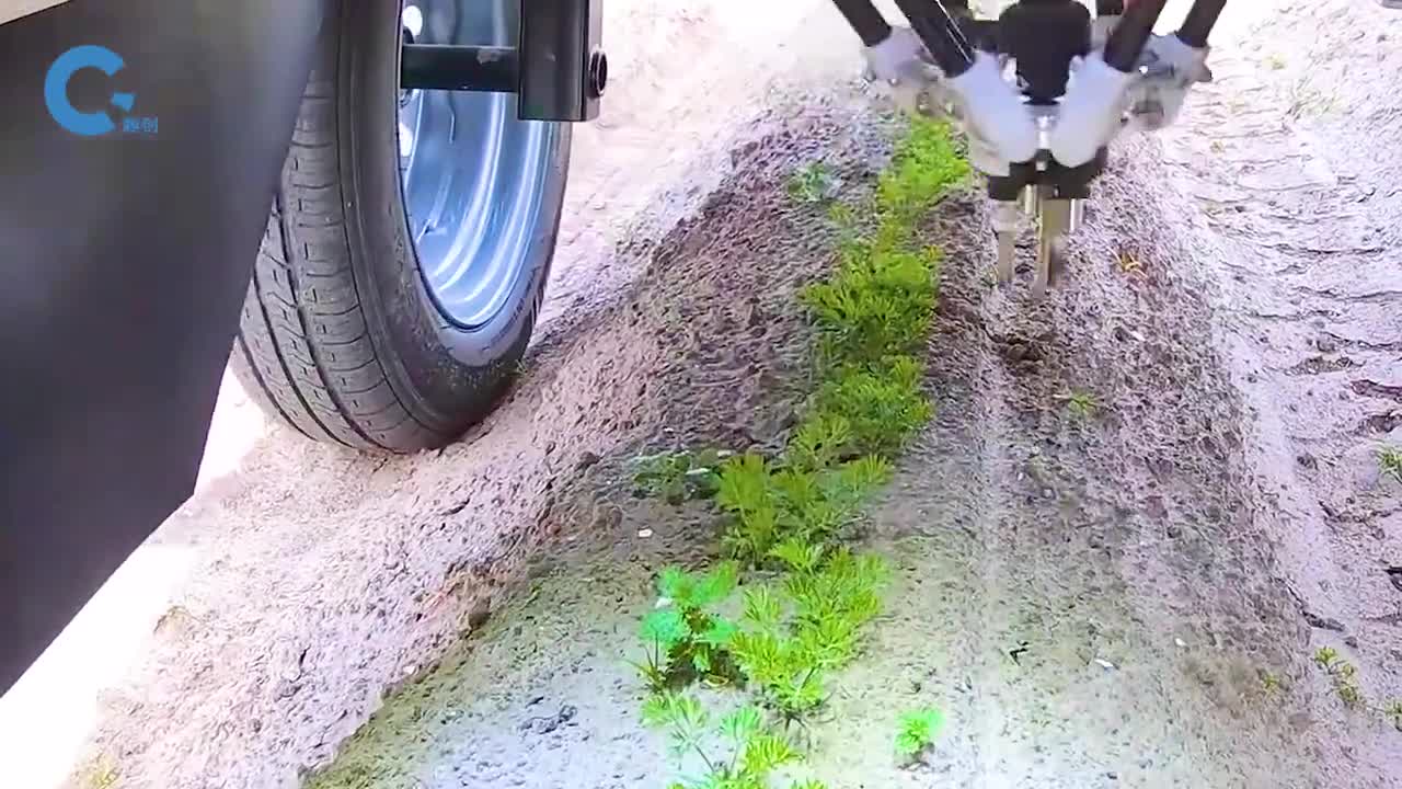 不可思议的拔草机器人在菜地里精准识别杂草夹住并连根拔出来