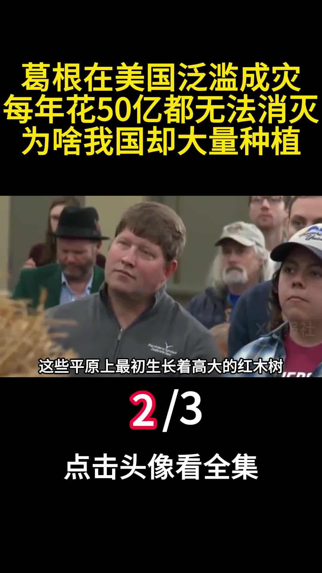 葛根在美国泛滥成灾每年花50亿都无法消灭为啥我国却大量种植2