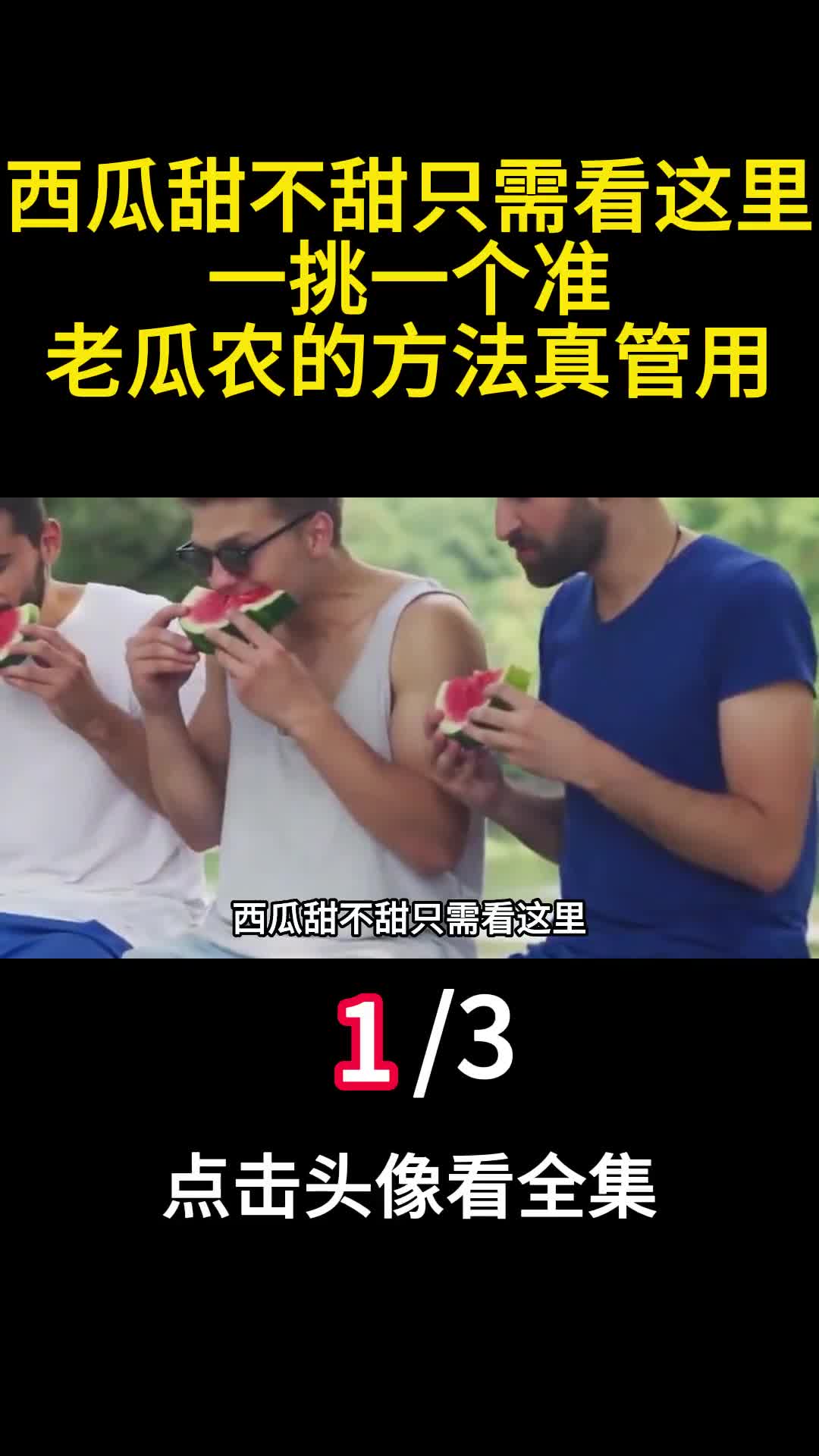 西瓜甜不甜只需看这里一挑一个准老瓜农的方法真管用1