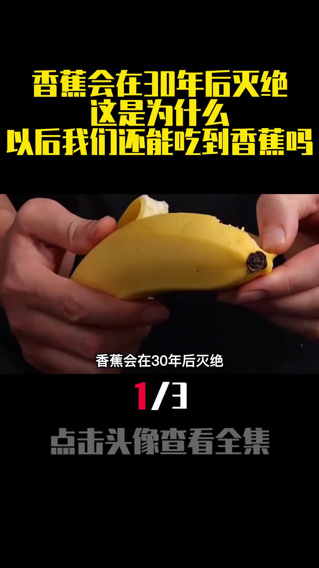 香蕉会在30年后灭绝这是为什么以后我们还能吃到香蕉吗1
