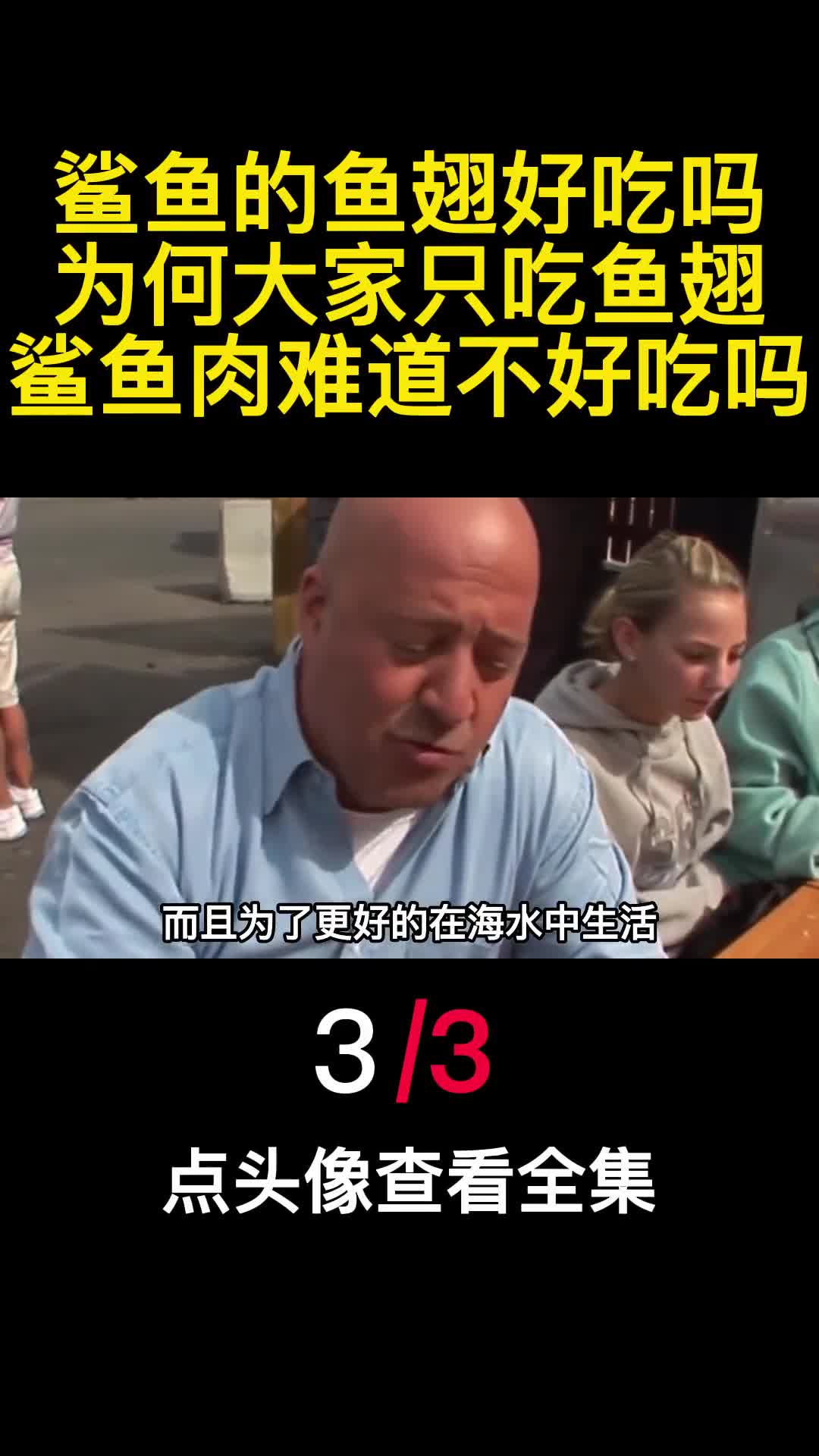 鲨鱼的鱼翅好吃吗为何大家只吃鱼翅鲨鱼肉难道不好吃吗3
