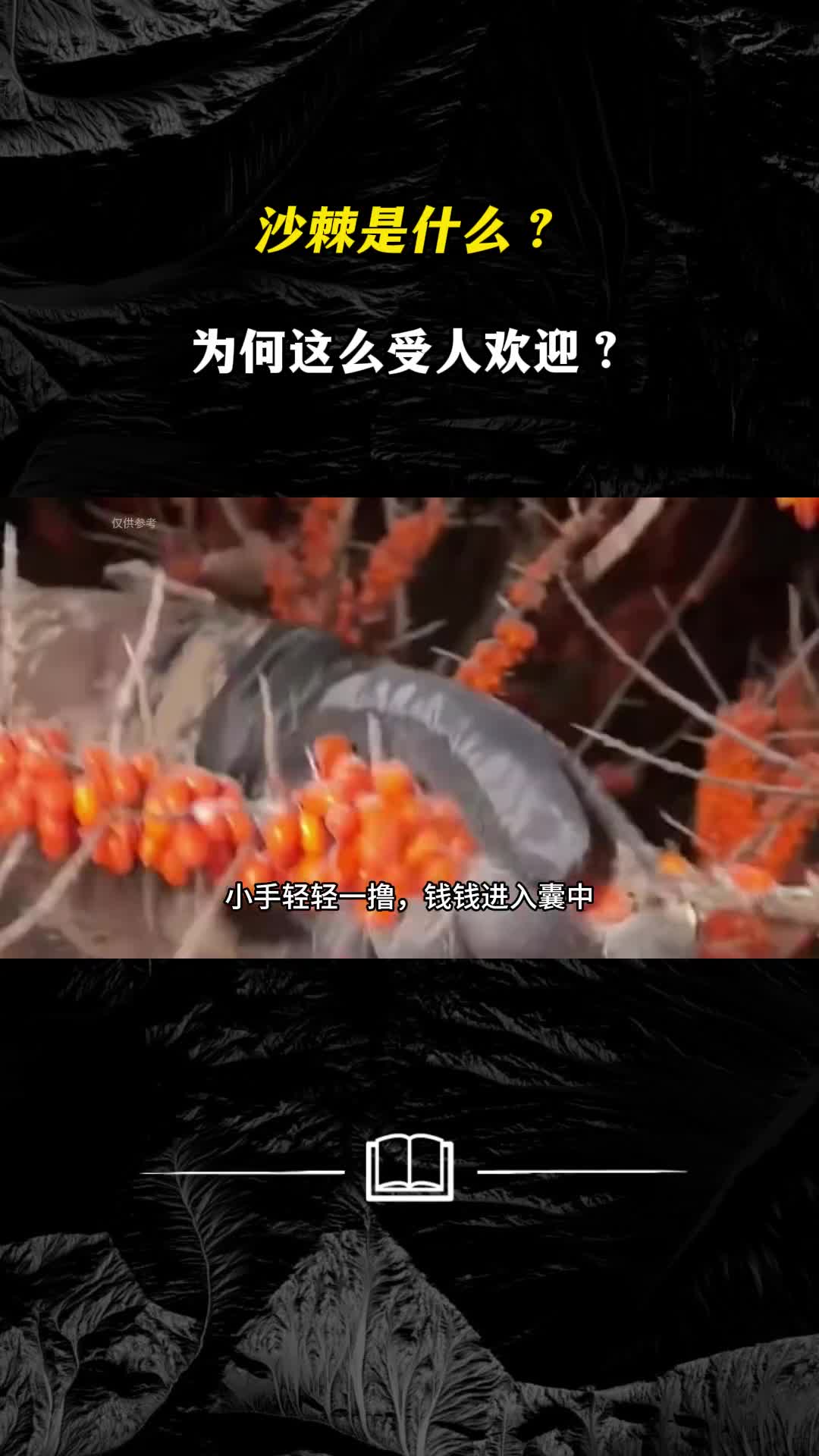 沙棘是什么为何这么受人欢迎