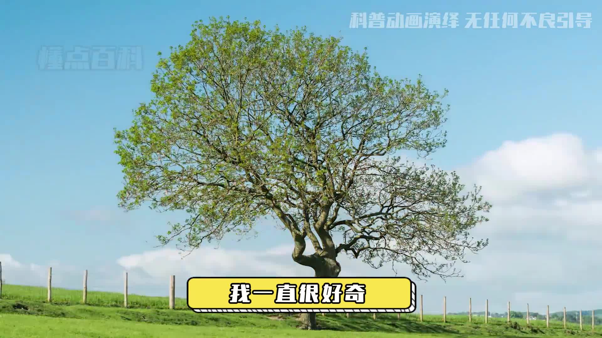 四季变化的原理春夏秋冬是怎么形成的