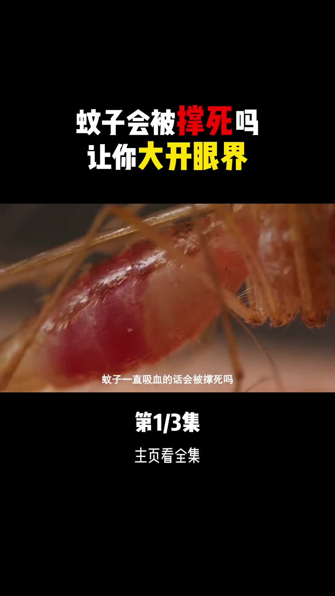 蚊子会被撑死和饿死吗假如把蚊子全部消灭掉对人类有影响吗