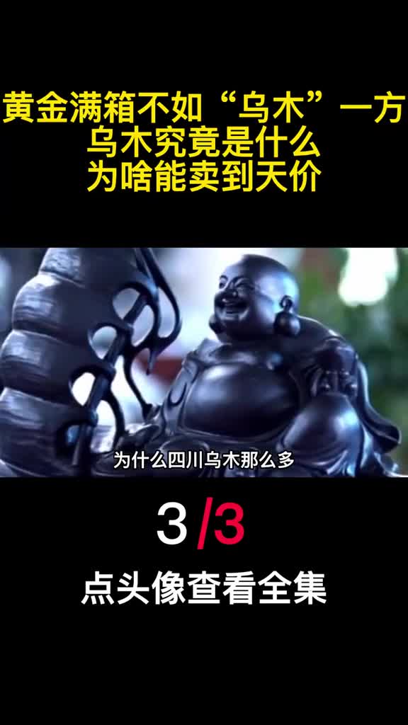 黄金满箱不如乌木一方乌木究竟是什么为啥能卖到天价3
