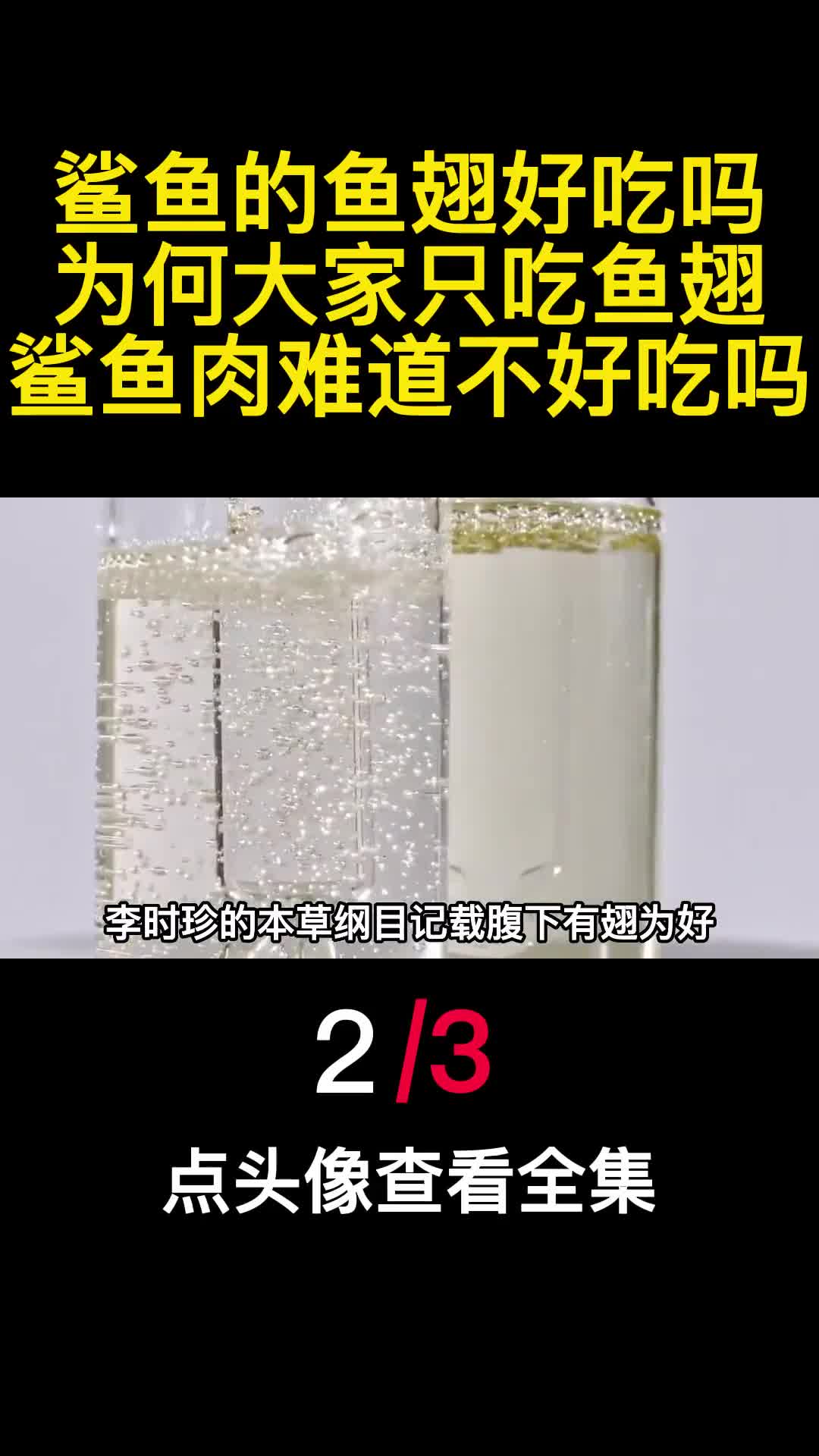鲨鱼的鱼翅好吃吗为何大家只吃鱼翅鲨鱼肉难道不好吃吗2