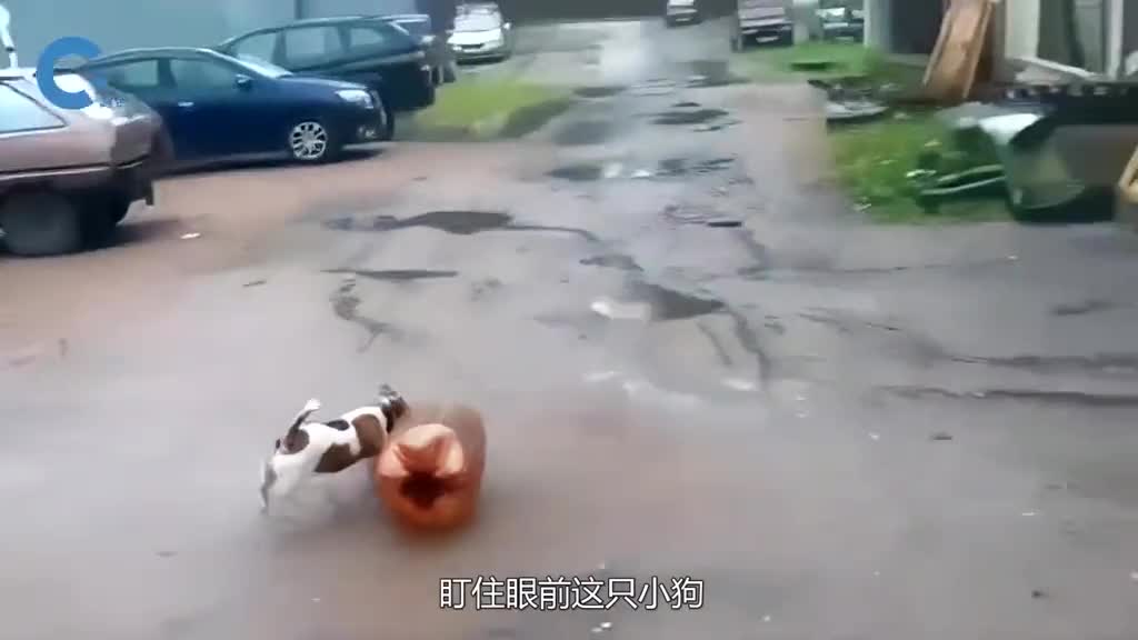 不可思议的啤酒周转桶一言不合就爆炸