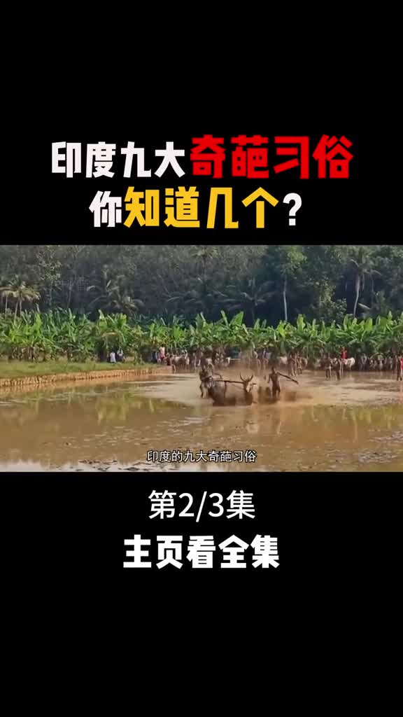 印度九大奇葩习俗青蛙与青蛙结婚人与狗结婚每一种都会颠覆你的认知2