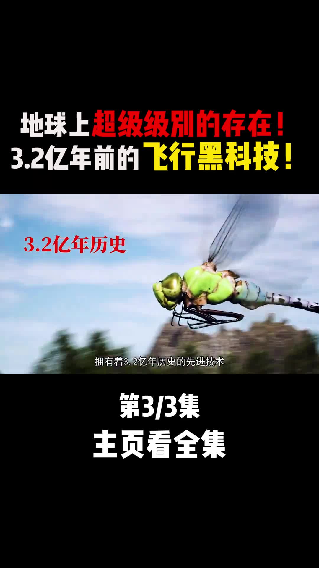 制霸空中几亿年的超级猎手浑身上下散发黑科技魅力