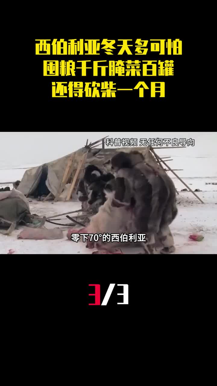 西伯利亚冬天有多可怕囤粮千斤腌菜百罐还得砍柴一个月3