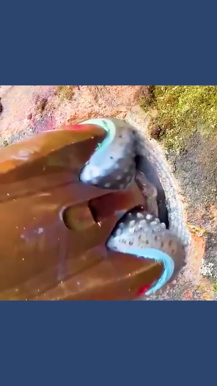 不可思议的牙轮钻头表面布满像牙齿的金属颗粒旋转着研磨岩石