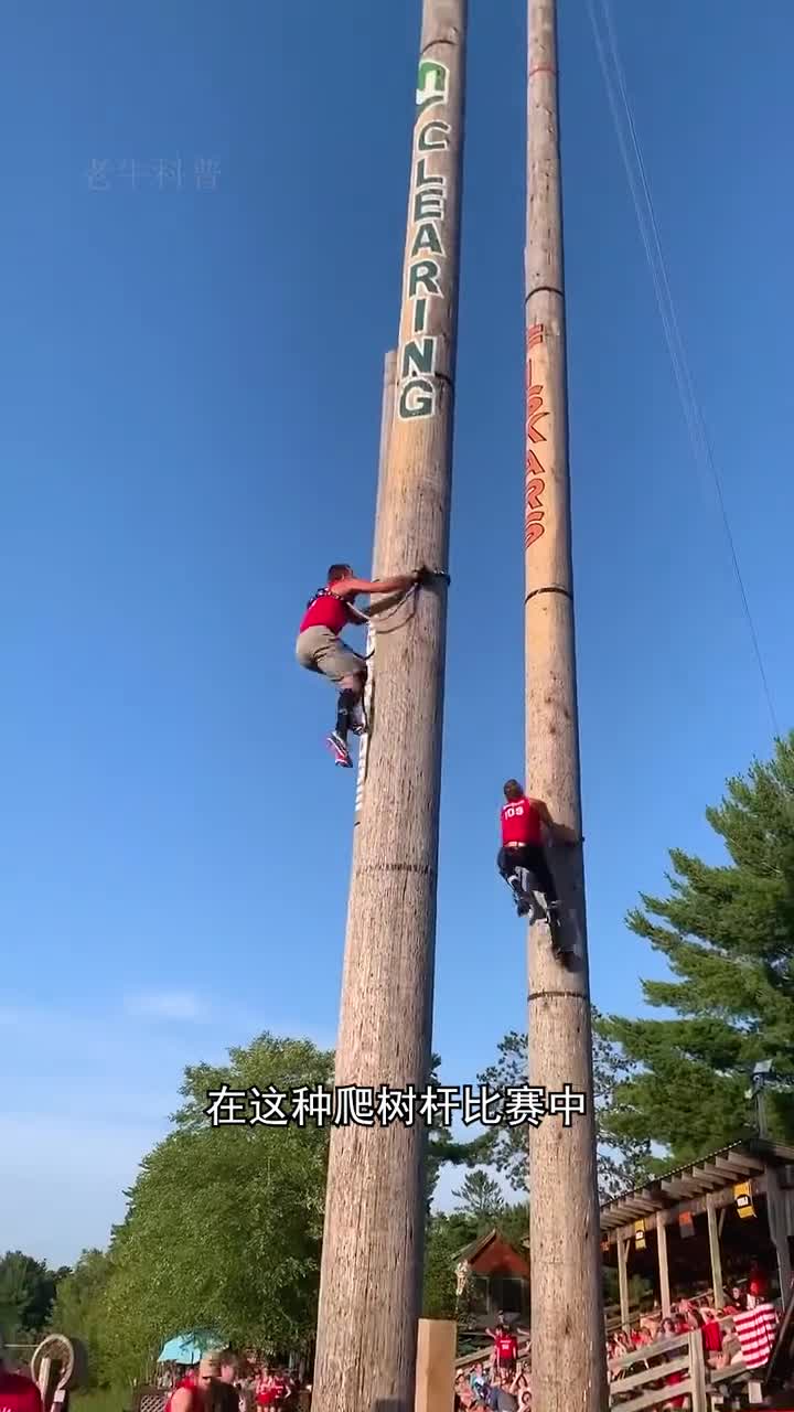 为什么靠一根绳子就可以爬树