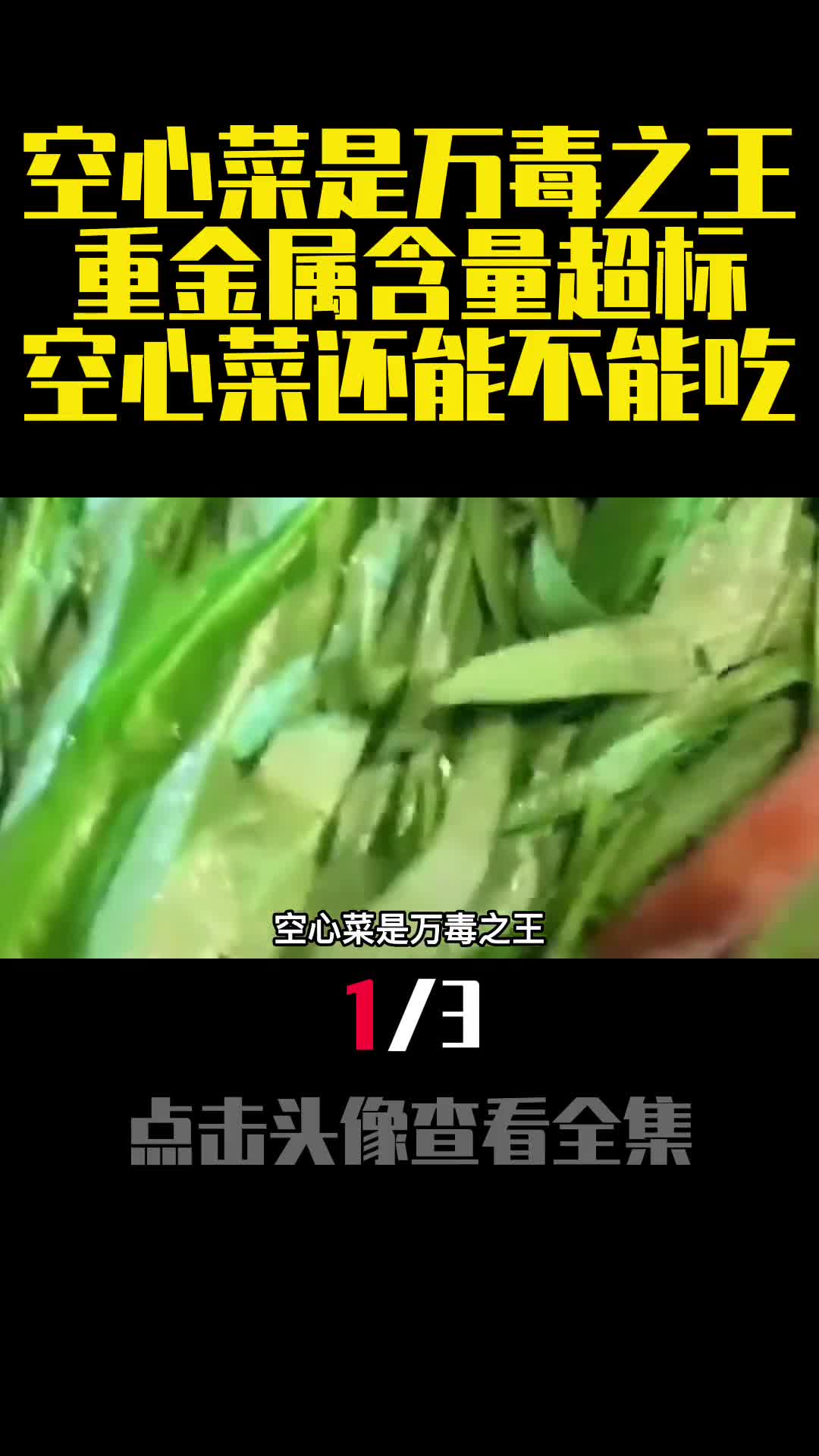 空心菜是万毒之王重金属含量超标空心菜还能不能吃1