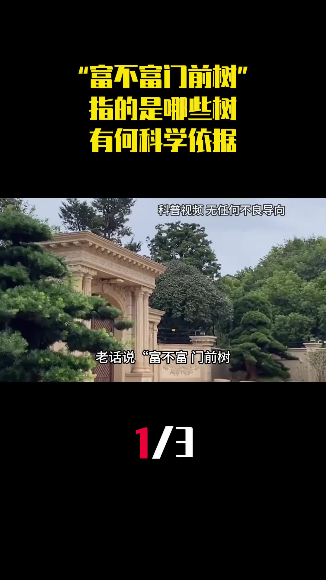 老话说富不富门前树指的是哪些树有何科学依据1