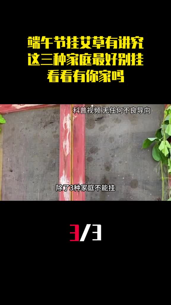 端午节挂艾草有讲究这三种家庭最好不要挂看看有你家吗3