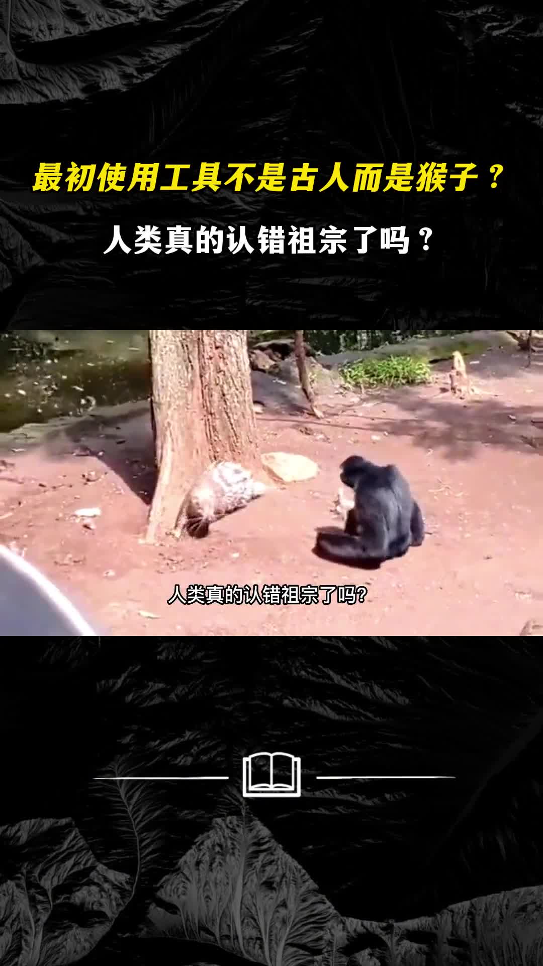 最初使用工具不是古人而是猴子人类真的认错祖宗了吗