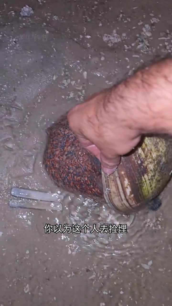 地球上最奇特的海洋生物之一